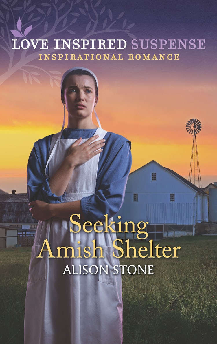 Cover image for Seeking Amish Shelter, isbn: 9781867225027