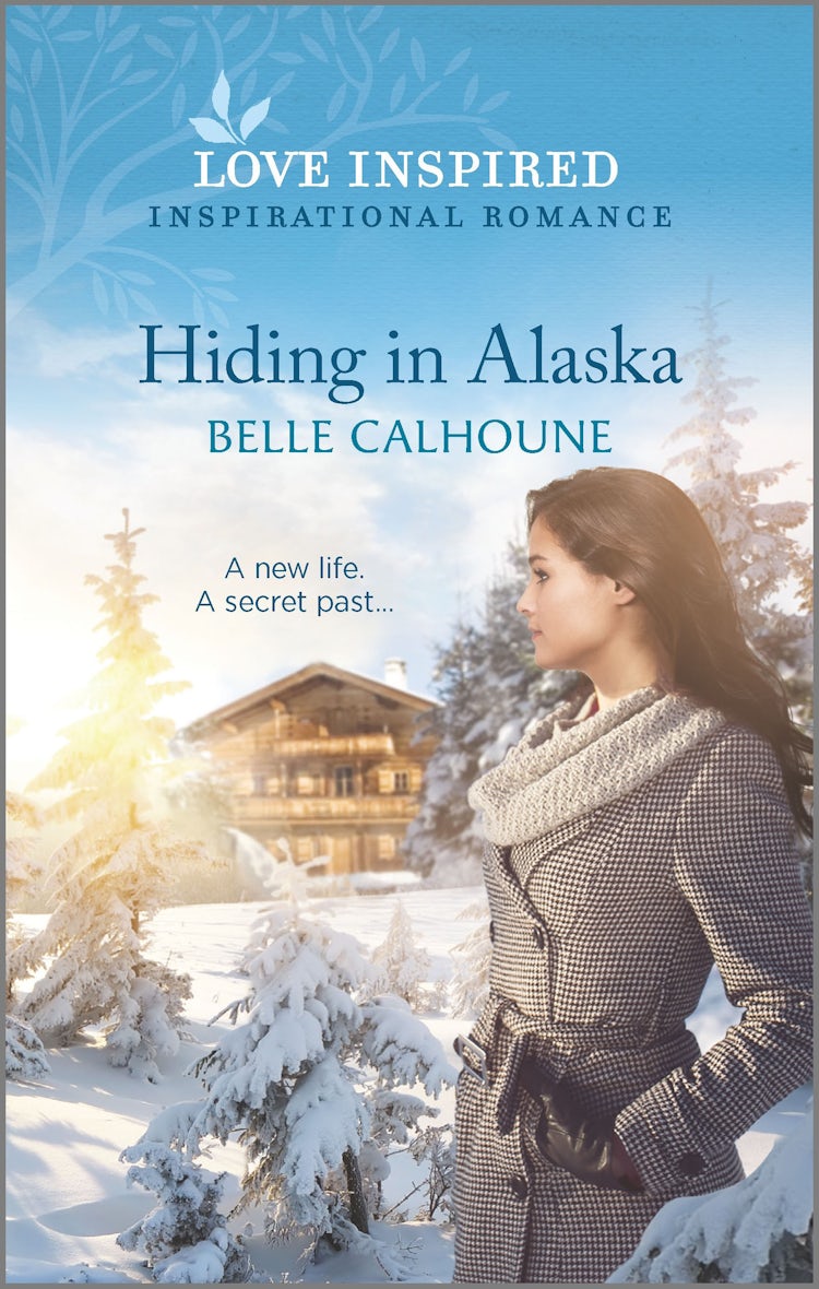 Cover image for Hiding in Alaska, isbn: 9781867229506