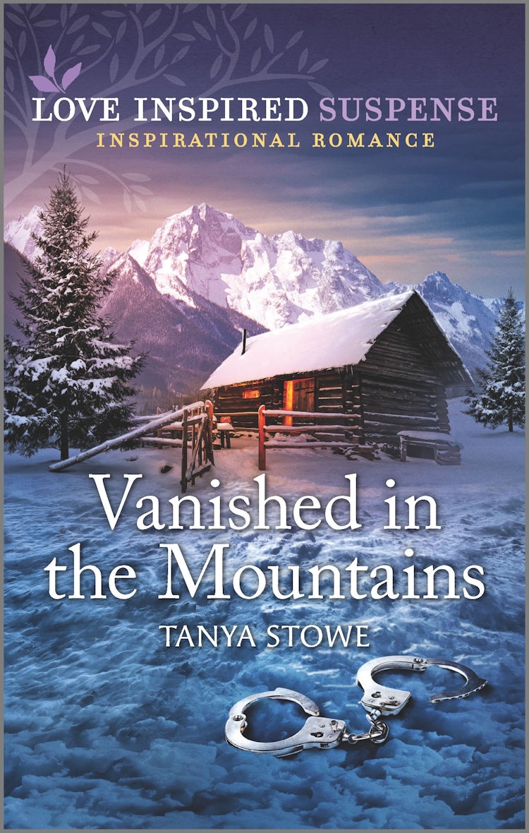 Cover image for Vanished in the Mountains, isbn: 9781867229698