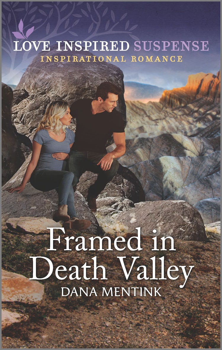 Cover image for Framed in Death Valley, isbn: 9781867229759