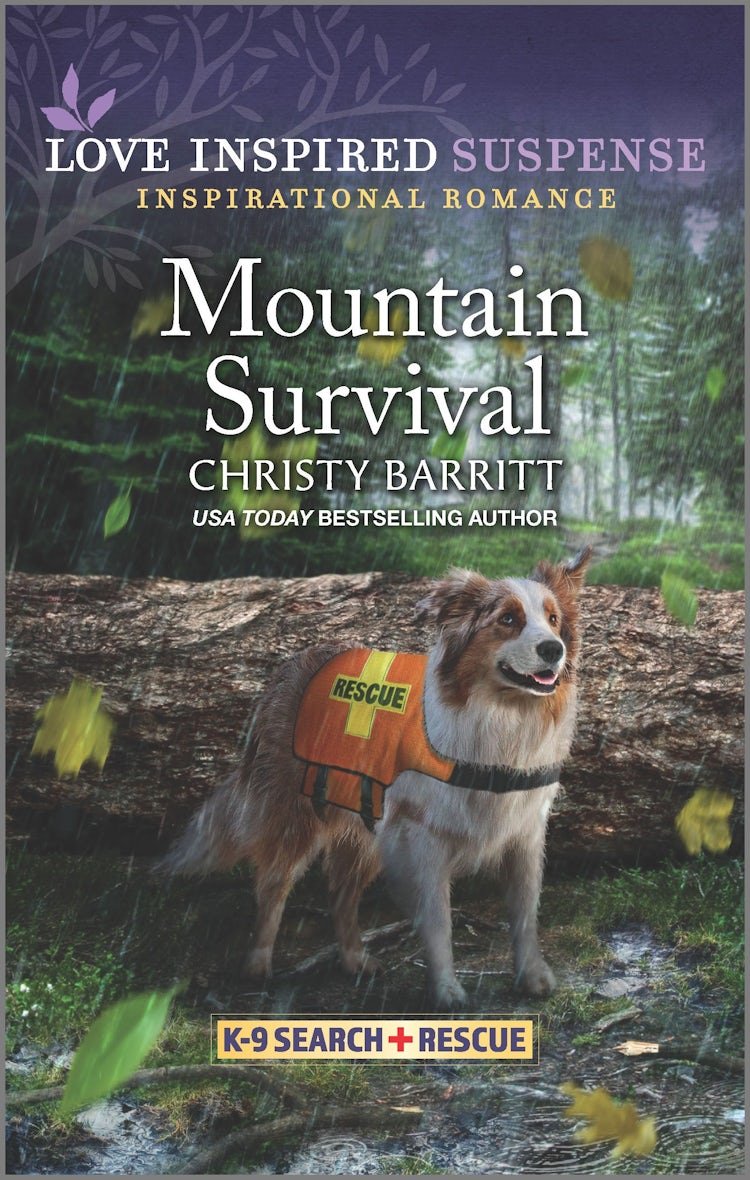 Cover image for Mountain Survival, isbn: 9781867229797
