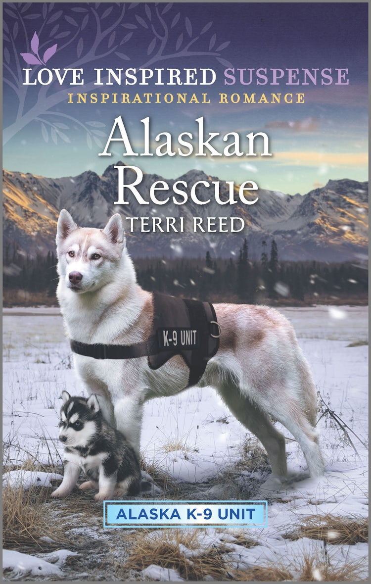 Cover image for Alaskan Rescue, isbn: 9781867229810