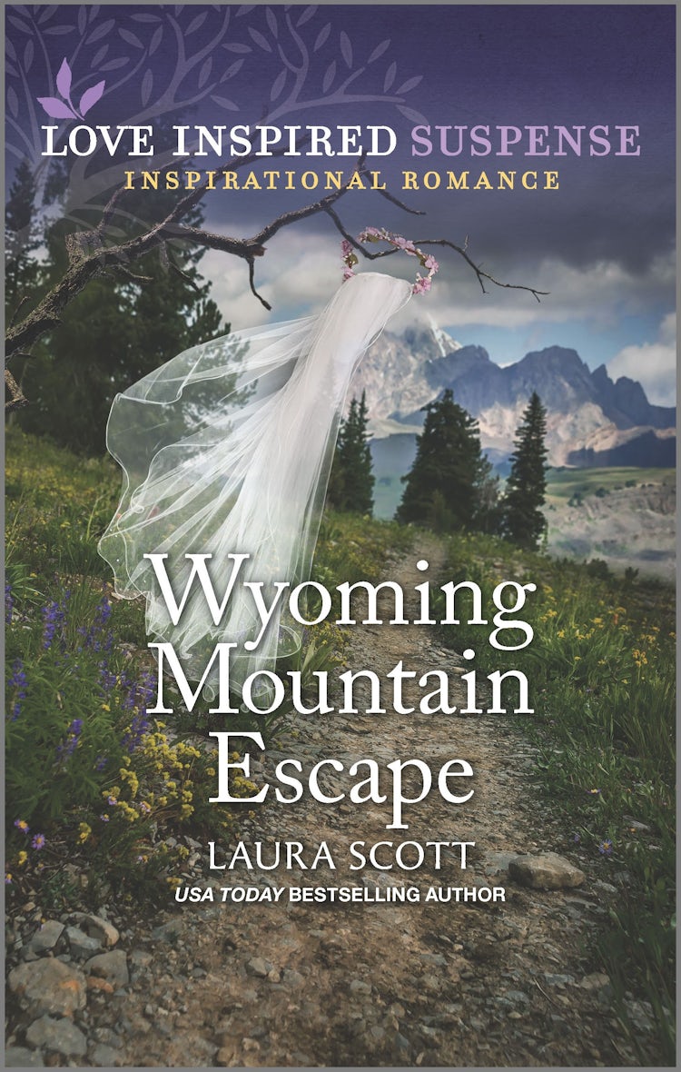 Cover image for Wyoming Mountain Escape, isbn: 9781867229827