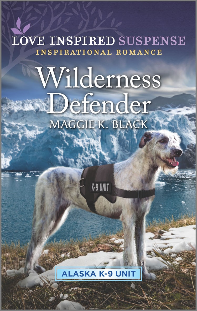 Cover image for Wilderness Defender, isbn: 9781867229872