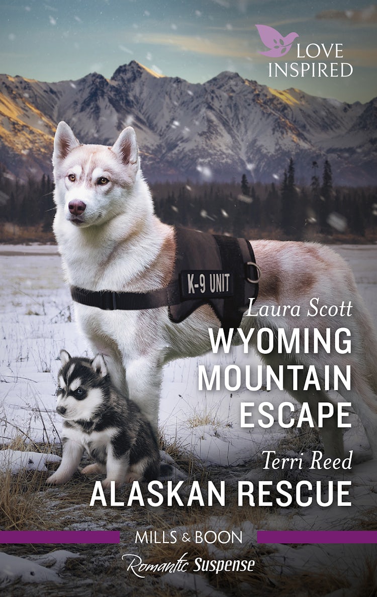 Cover image for Wyoming Mountain Escape/Alaskan Rescue, isbn: 9781867231622
