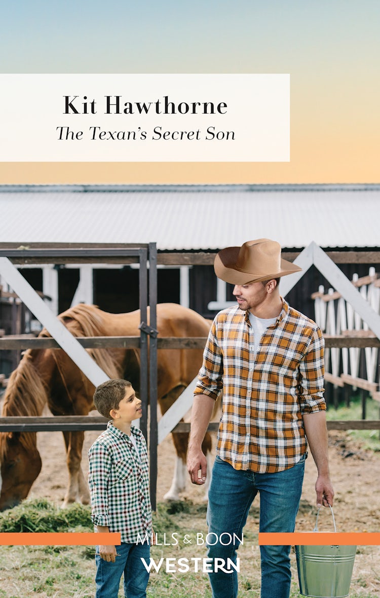 Cover image for The Texan's Secret Son, isbn: 9781867235934