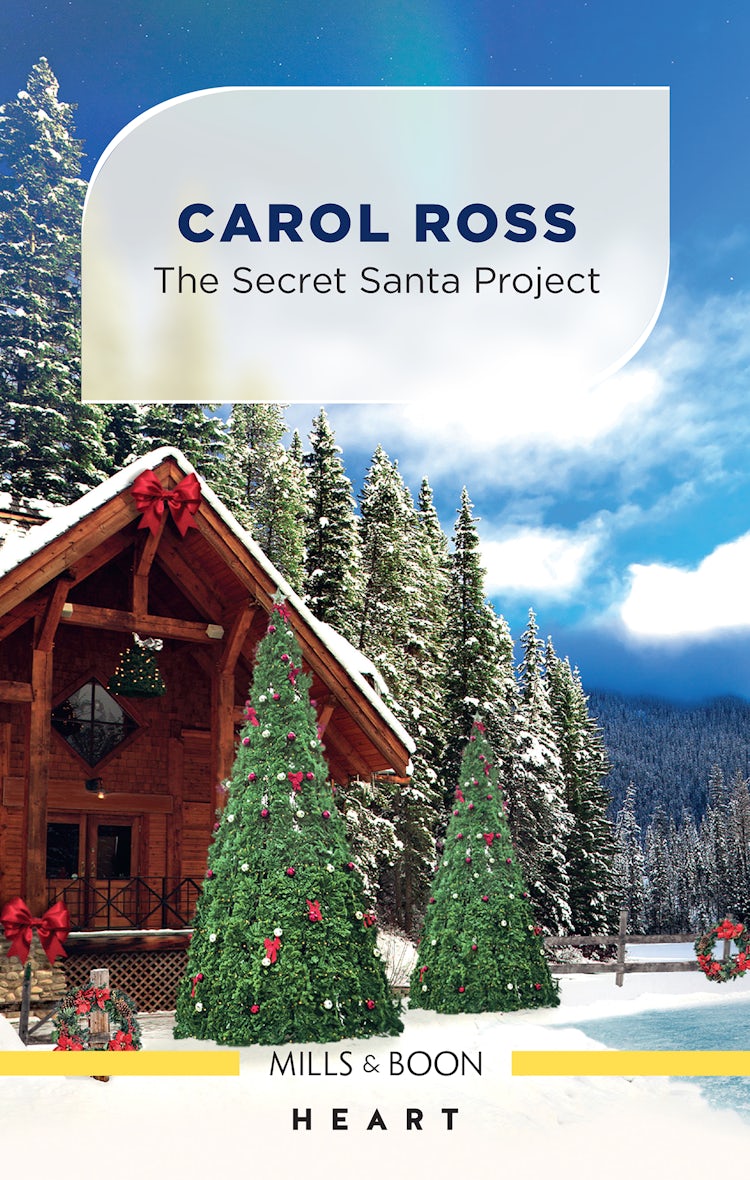 Cover image for The Secret Santa Project, isbn: 9781867236863