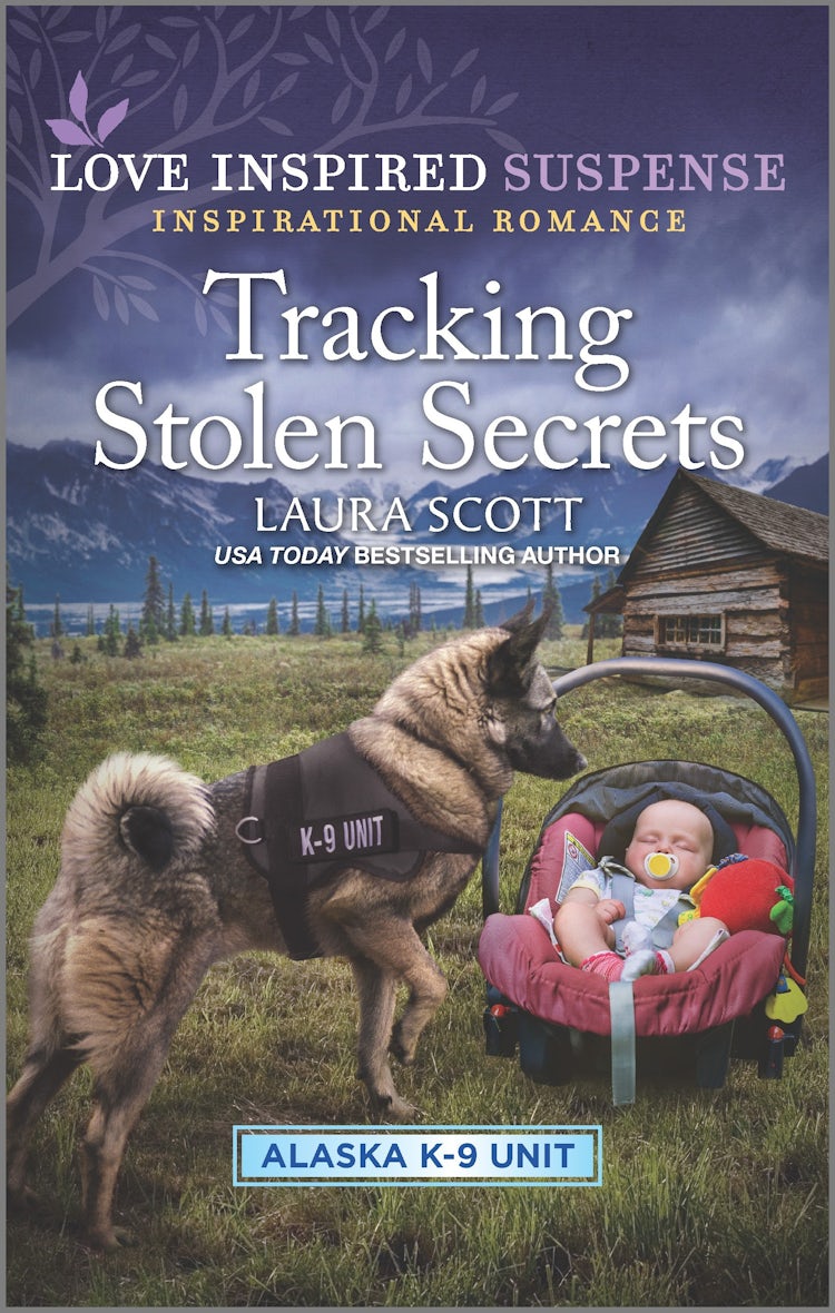 Cover image for Tracking Stolen Secrets, isbn: 9781867238058