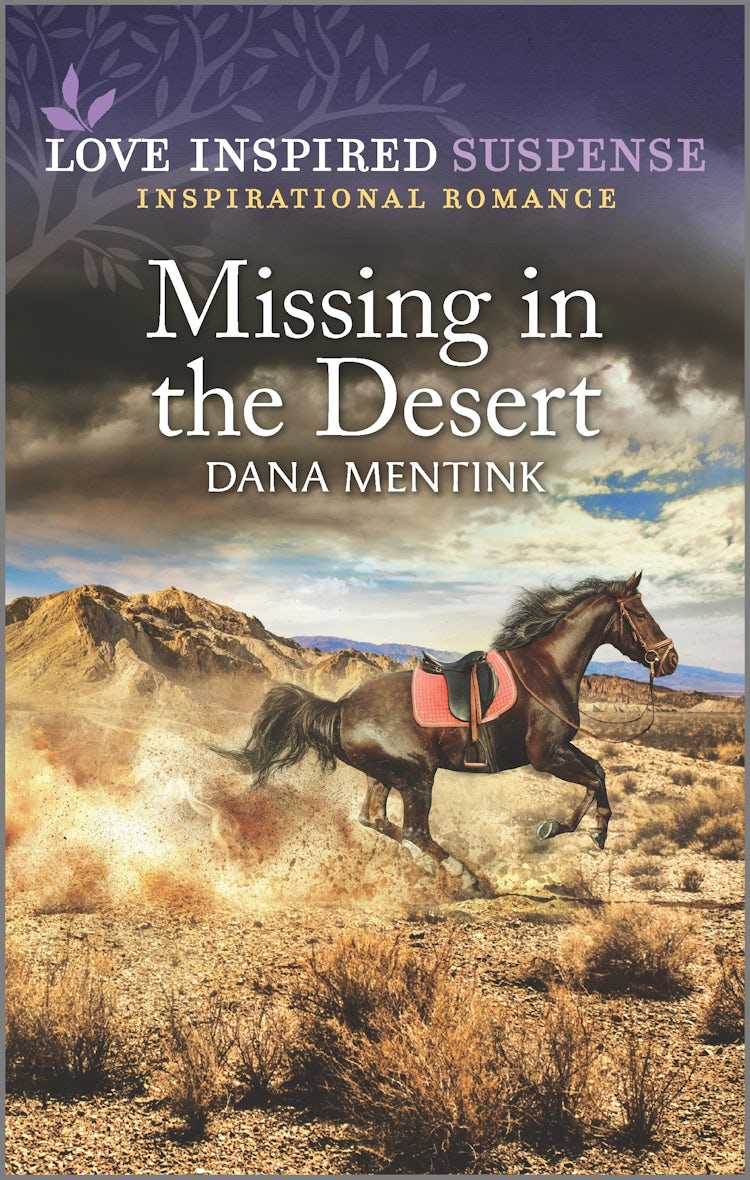 Cover image for Missing in the Desert, isbn: 9781867238065