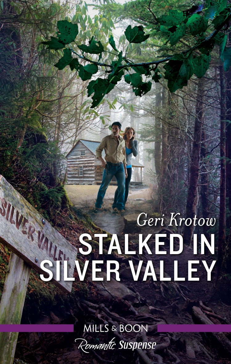 Cover image for Stalked in Silver Valley, isbn: 9781867238768