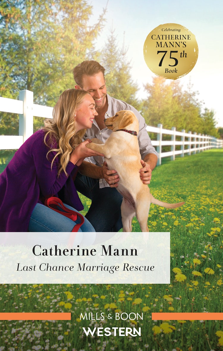 Cover image for Last-Chance Marriage Rescue, isbn: 9781867238850