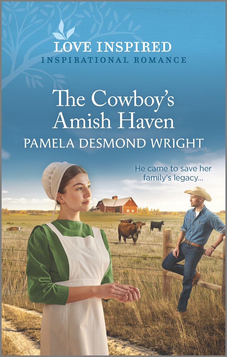 Cover image for The Cowboy's Amish Haven, isbn: 9781867240235