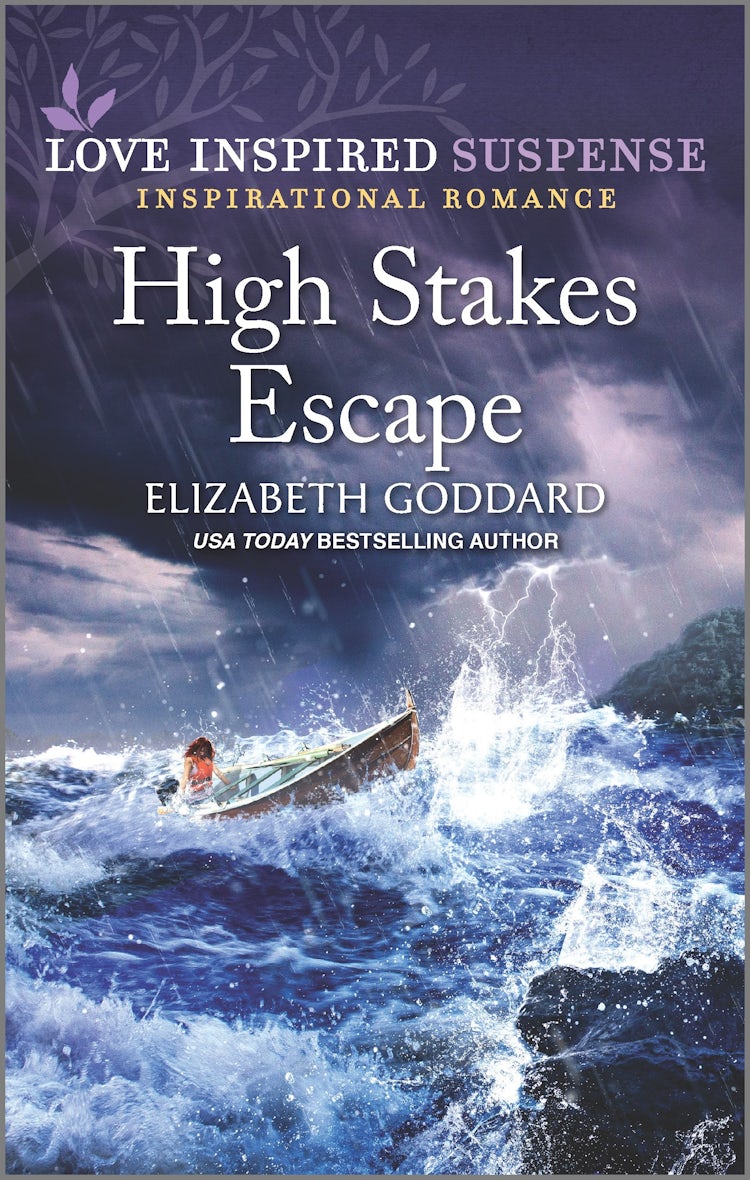 Cover image for High Stakes Escape, isbn: 9781867240310