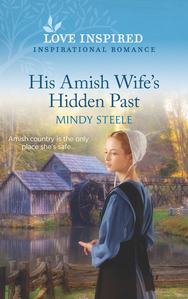 Cover image for His Amish Wife's Hidden Past, isbn: 9781867243793