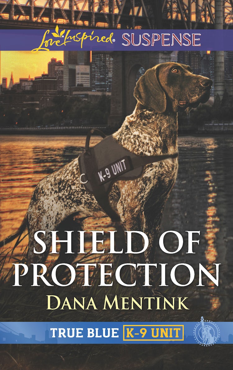 Cover image for Shield of Protection (novella), isbn: 9781867244554
