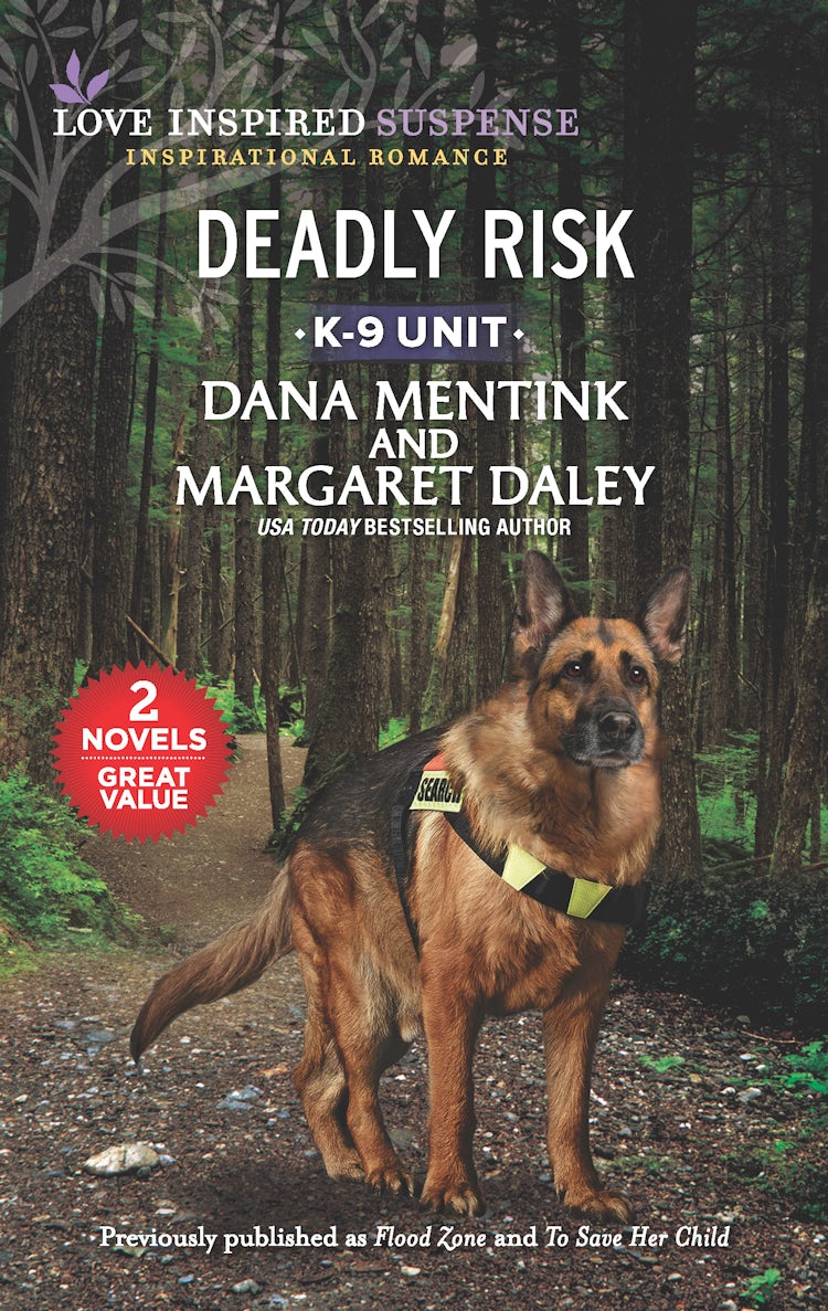 Cover image for Deadly Risk/Flood Zone/To Save Her Child, isbn: 9781867244561
