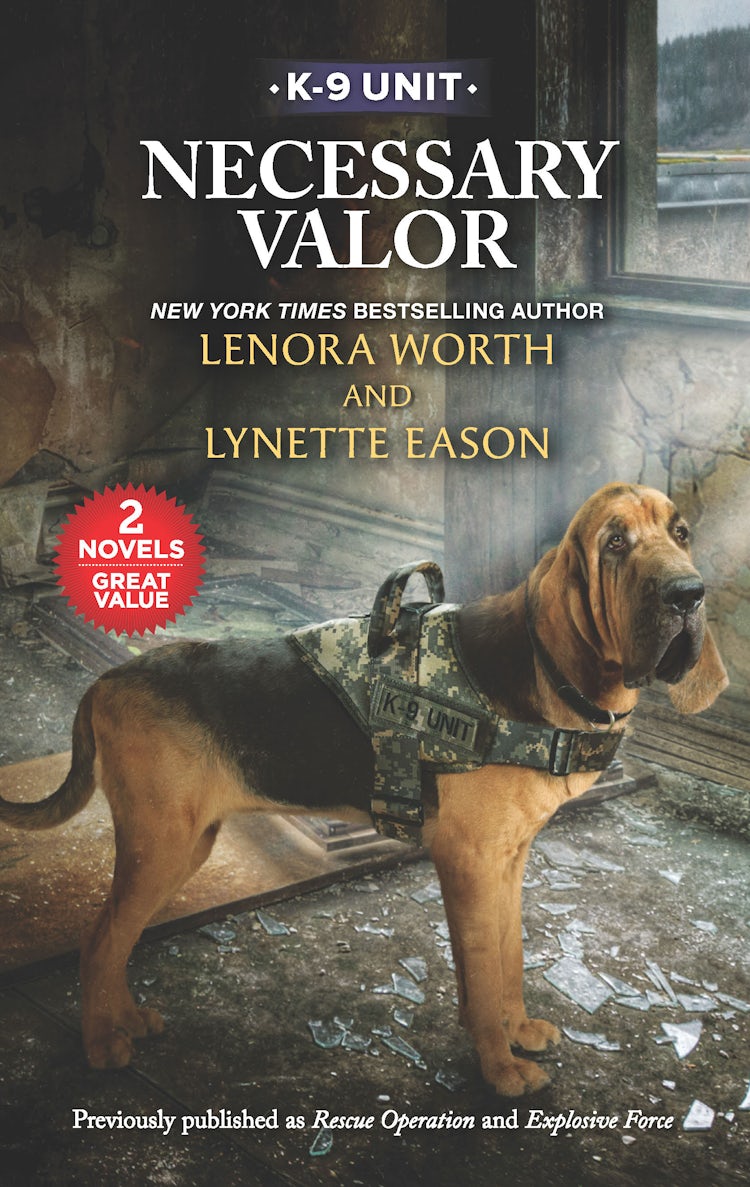 Cover image for Necessary Valor/Rescue Operation/Explosive Force, isbn: 9781867244578