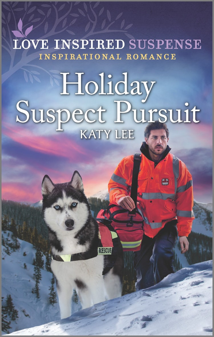 Cover image for Holiday Suspect Pursuit, isbn: 9781867244615