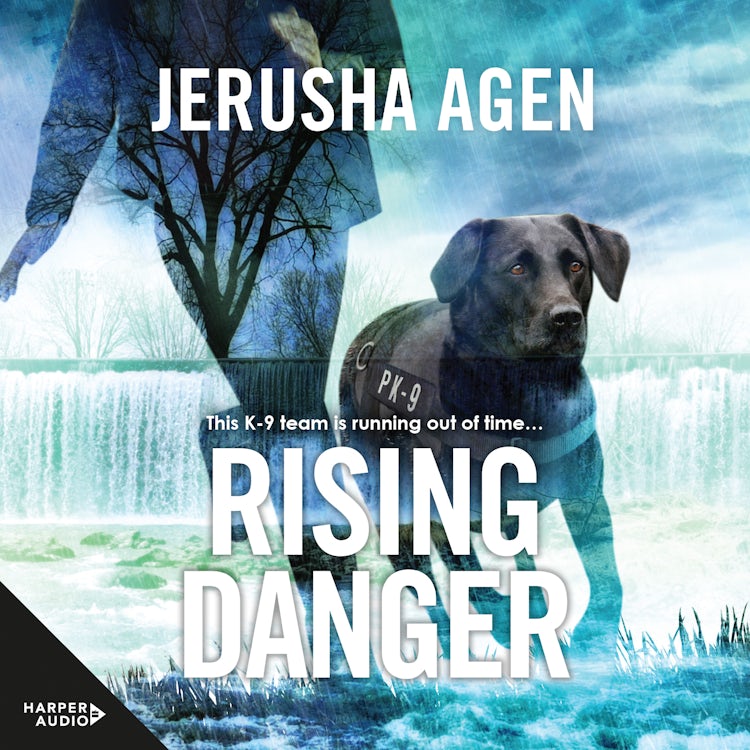 Cover image for Rising Danger, isbn: 9781867244769