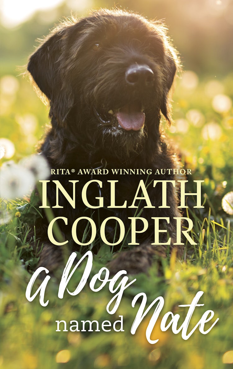 Cover image for A Dog Named Nate (novella), isbn: 9781867245032
