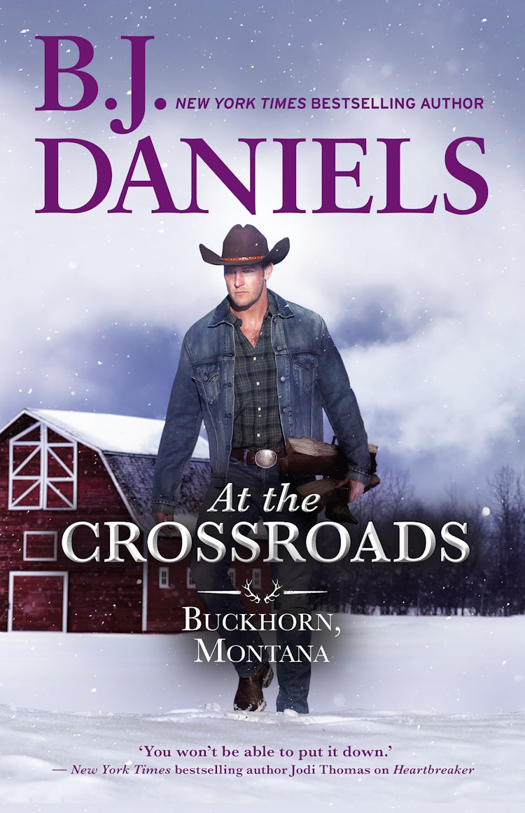 Cover image for At the Crossroads, isbn: 9781867246435