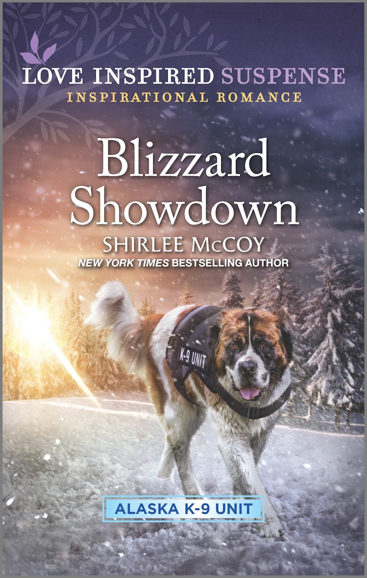Cover image for Blizzard Showdown, isbn: 9781867246909
