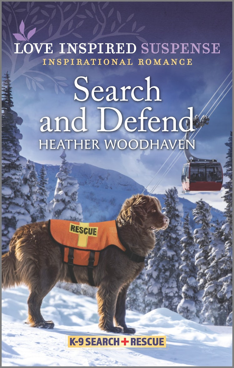 Cover image for Search and Defend, isbn: 9781867247449