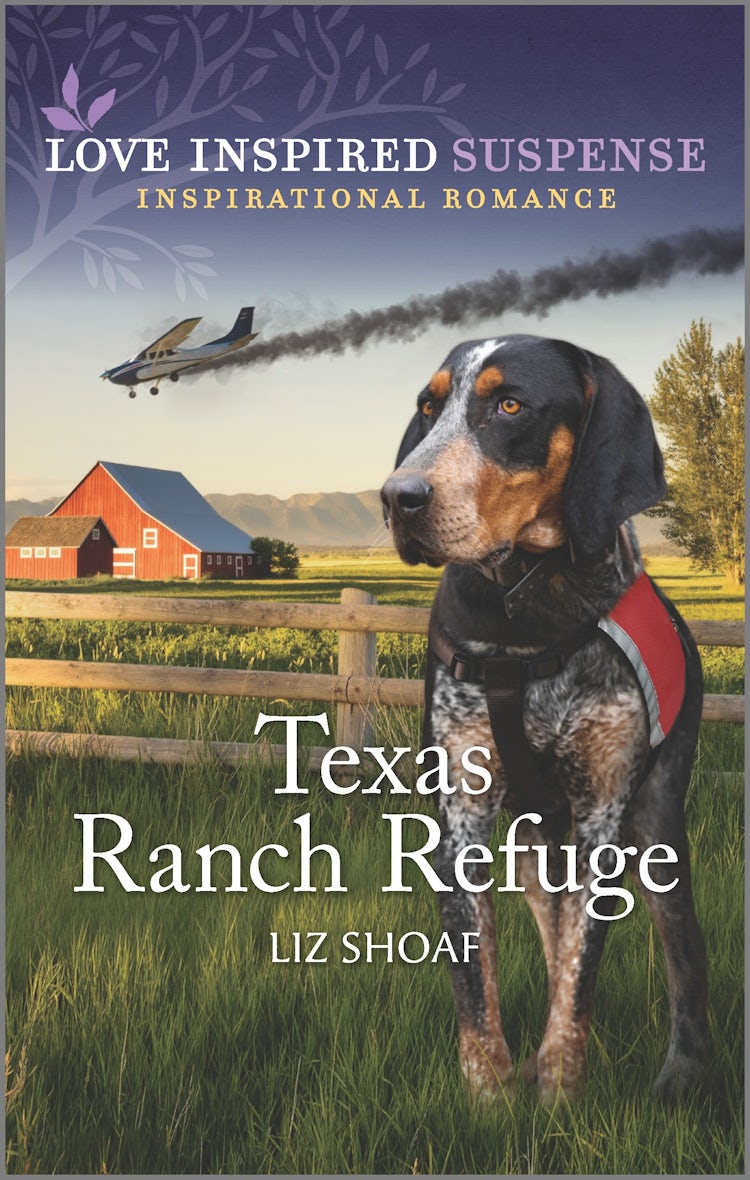 Cover image for Texas Ranch Refuge, isbn: 9781867247470