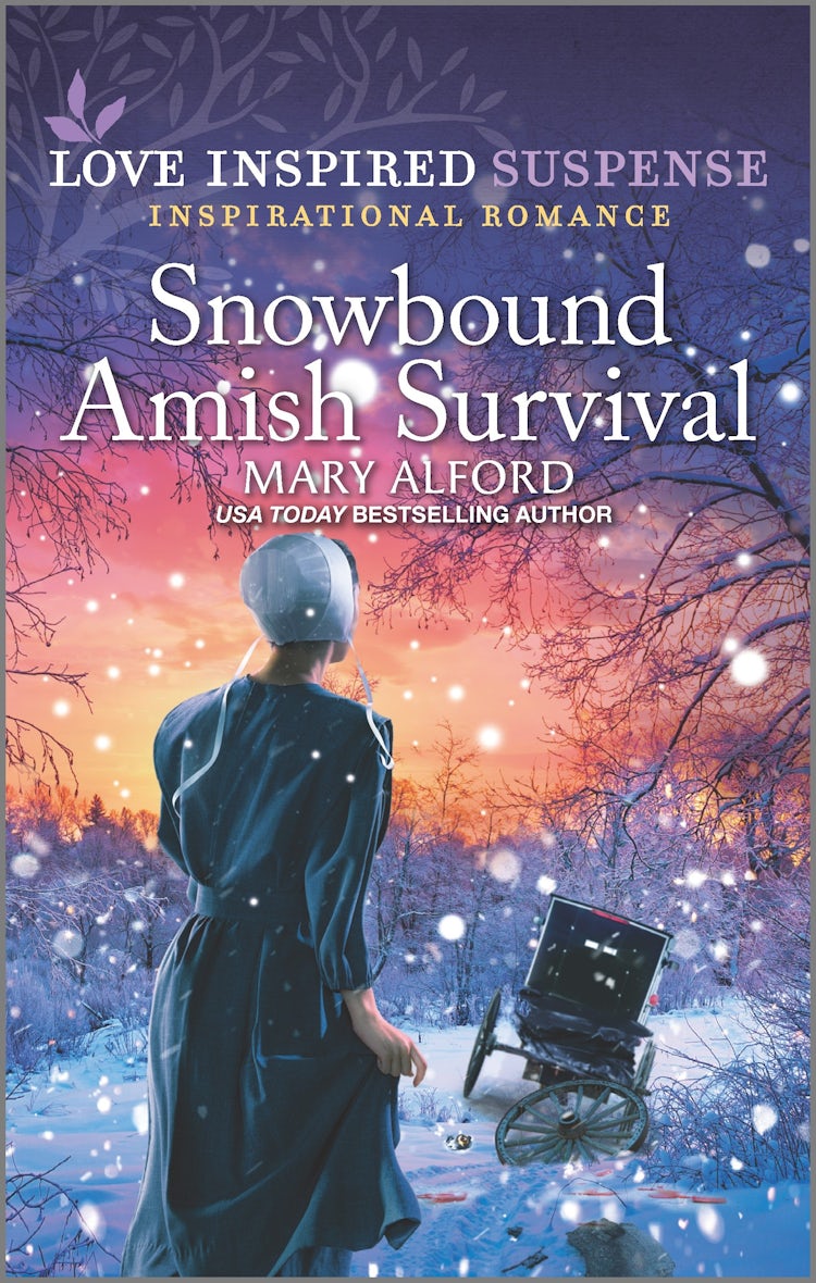 Cover image for Snowbound Amish Survival, isbn: 9781867247524