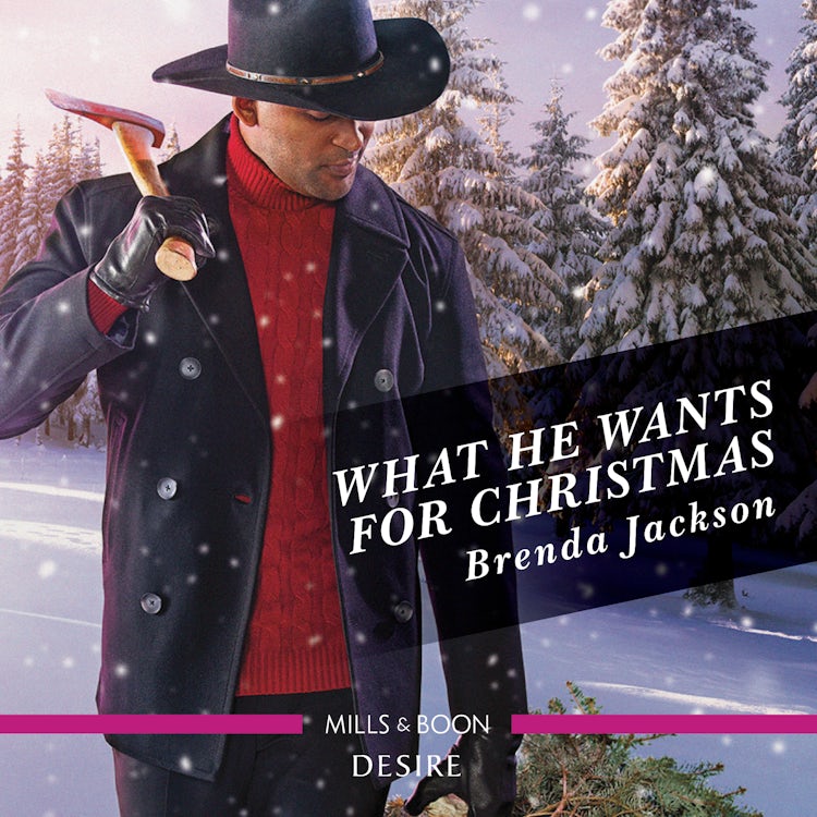 Cover image for What He Wants for Christmas, isbn: 9781867248262