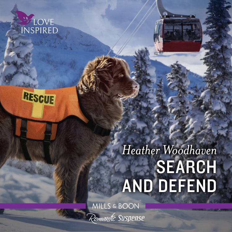Cover image for Search and Defend, isbn: 9781867248286