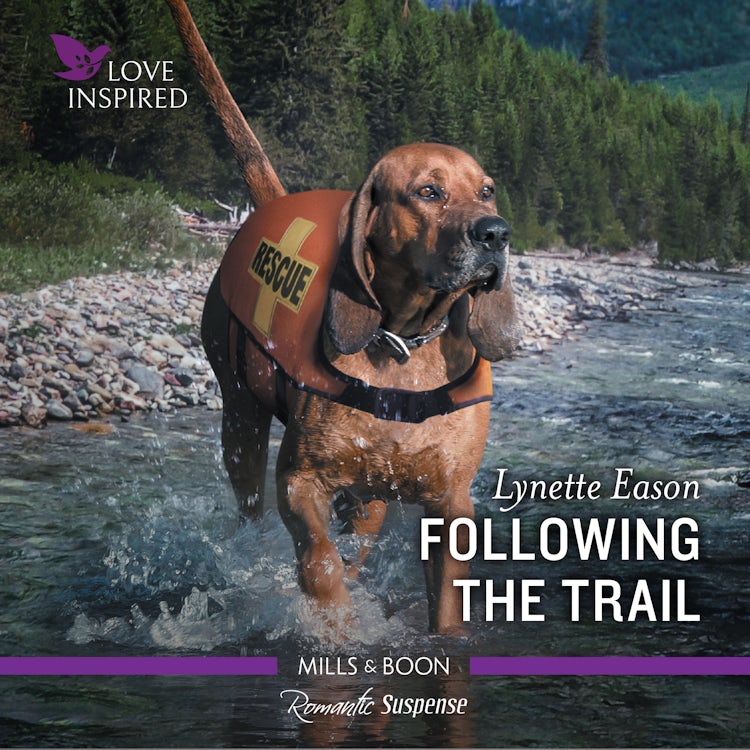 Cover image for Following the Trail, isbn: 9781867248323