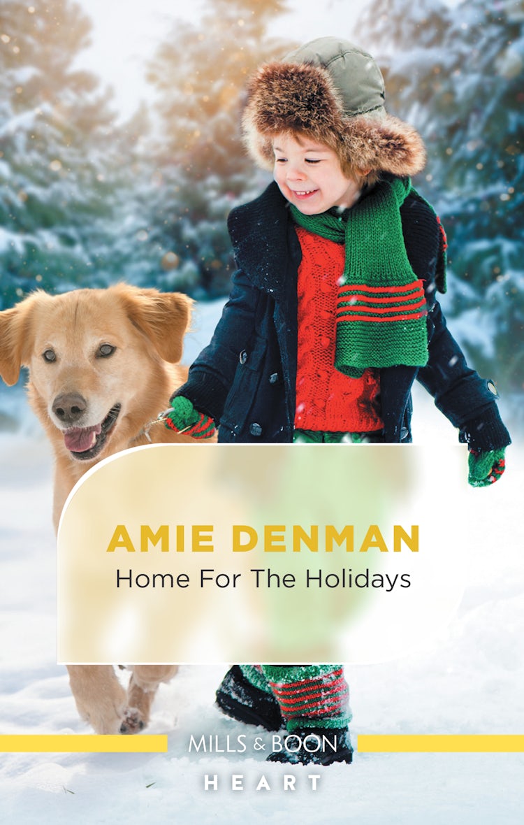 Cover image for Home for the Holidays, isbn: 9781867249641