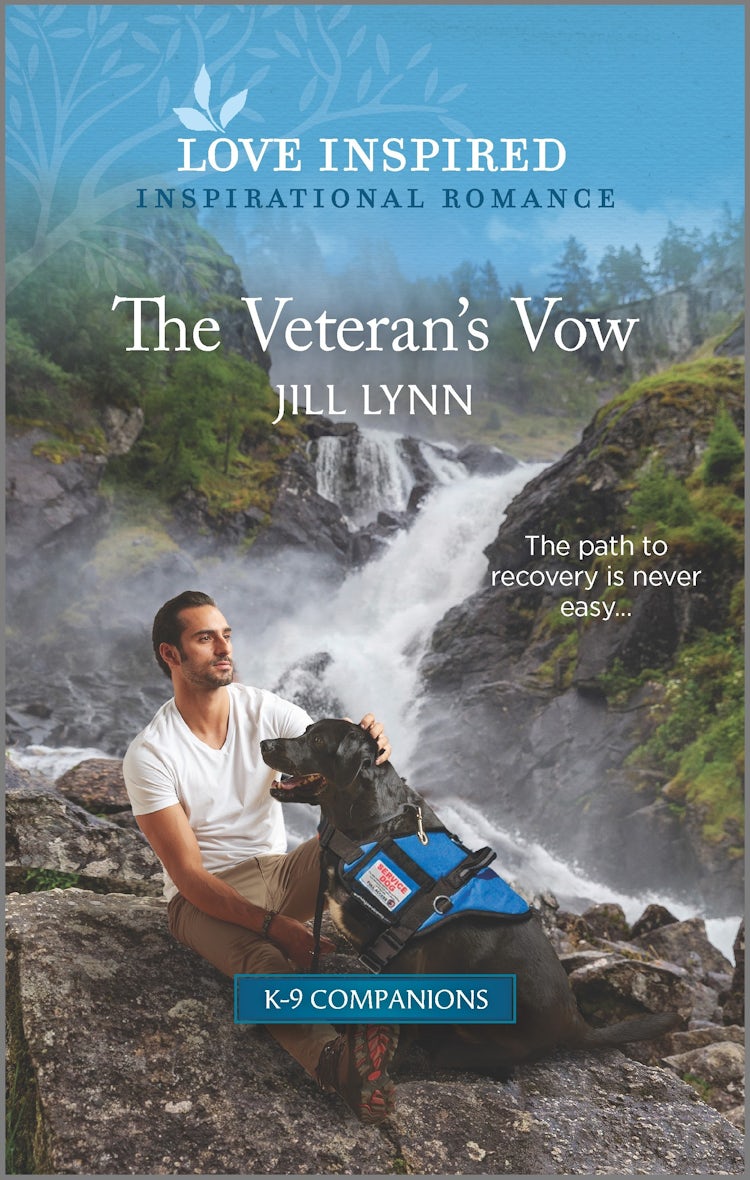 Cover image for The Veteran's Vow, isbn: 9781867251675