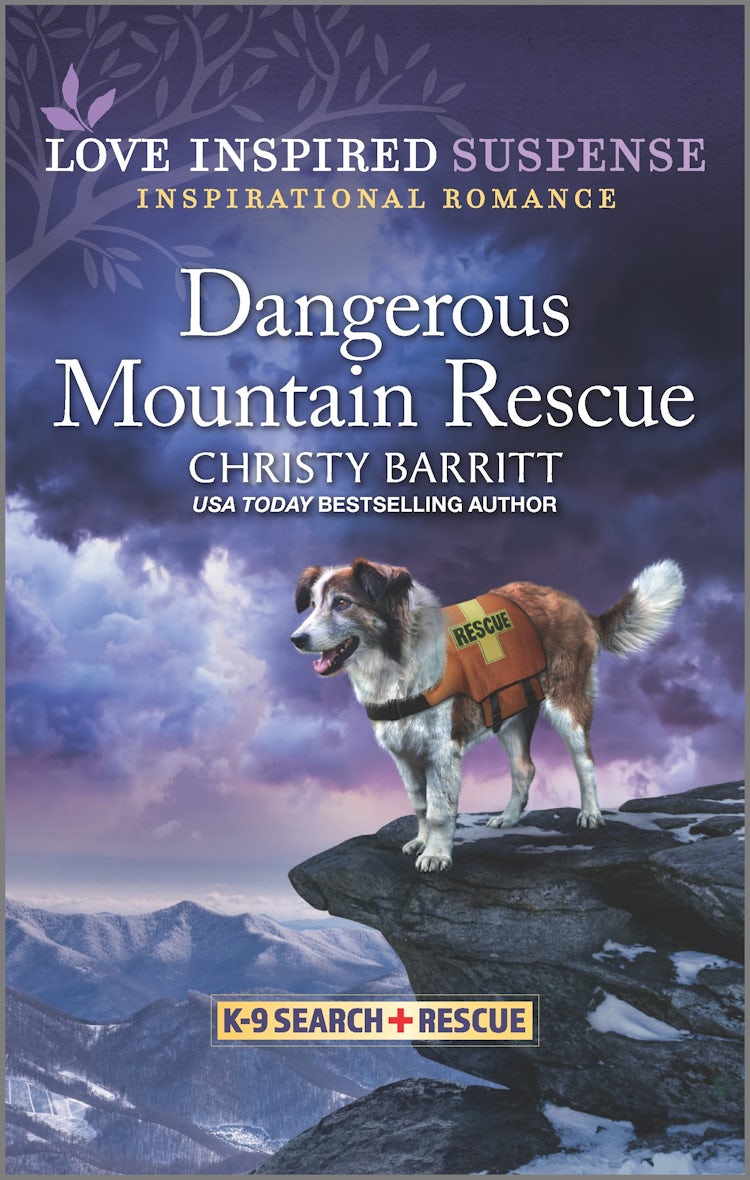 Cover image for Dangerous Mountain Rescue, isbn: 9781867251767