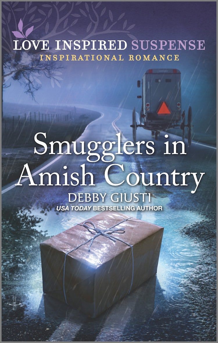 Cover image for Smugglers in Amish Country, isbn: 9781867251781