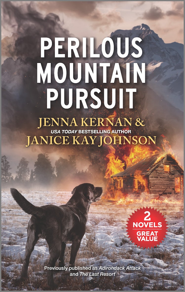 Cover image for Perilous Mountain Pursuit/Adirondack Attack/The Last Resort, isbn: 9781867252207