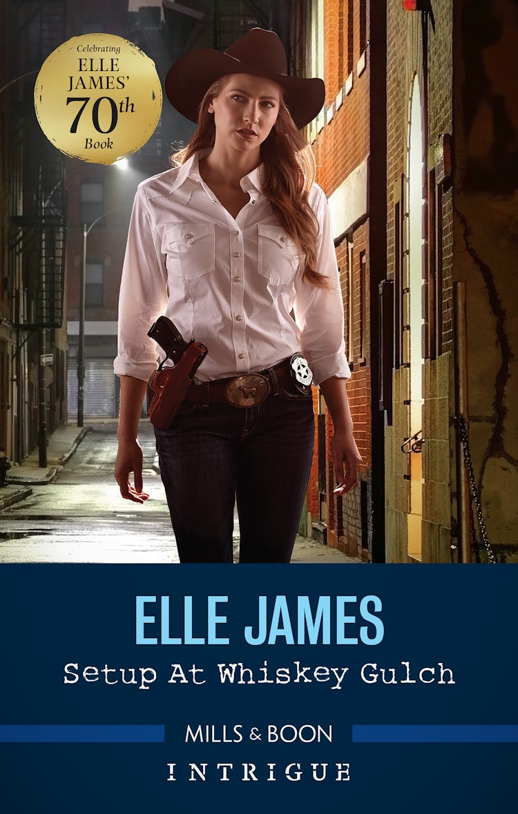 Cover image for Setup at Whiskey Gulch, isbn: 9781867253303