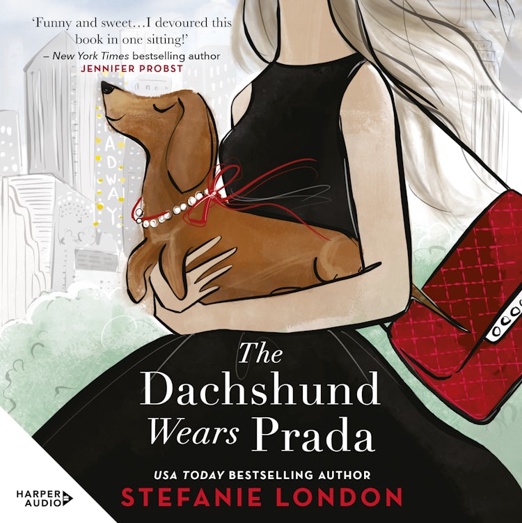 Cover image for The Dachshund Wears Prada, isbn: 9781867254072