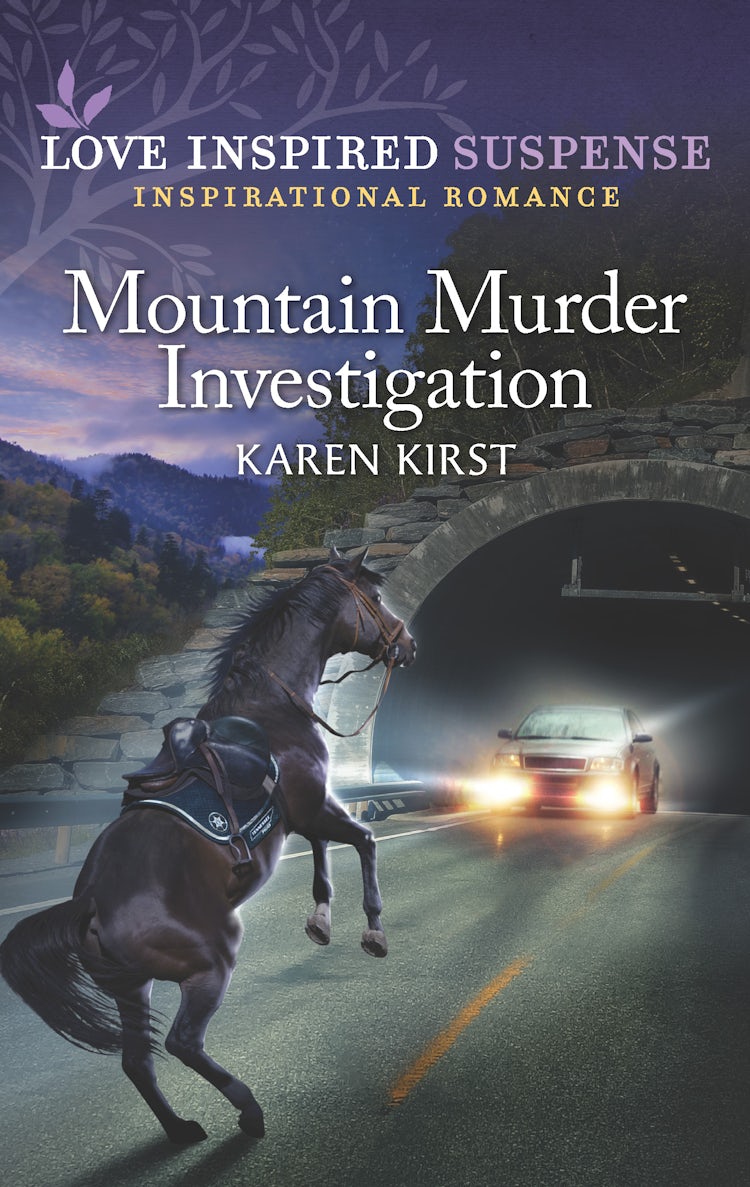 Cover image for Mountain Murder Investigation, isbn: 9781867254683