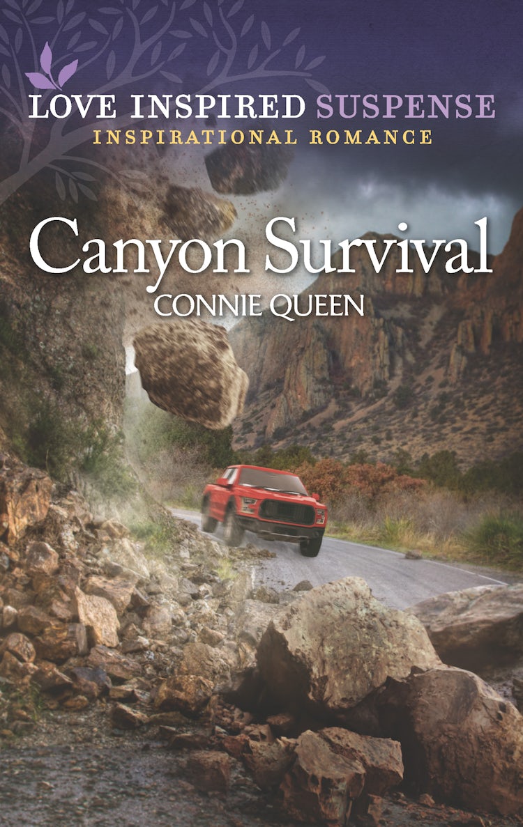 Cover image for Canyon Survival, isbn: 9781867254690