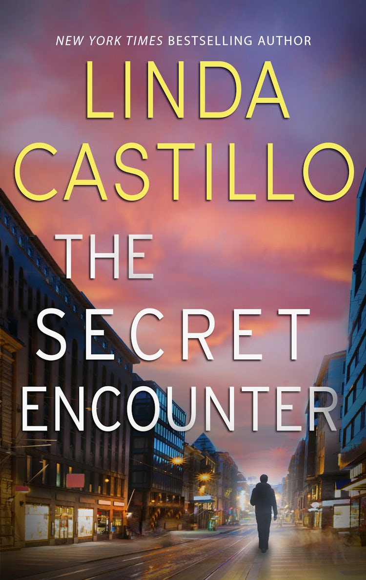 Cover image for The Secret Encounter, isbn: 9781867255017