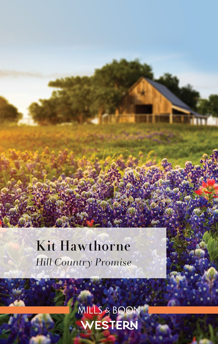 Cover image for Hill Country Promise, isbn: 9781867256427