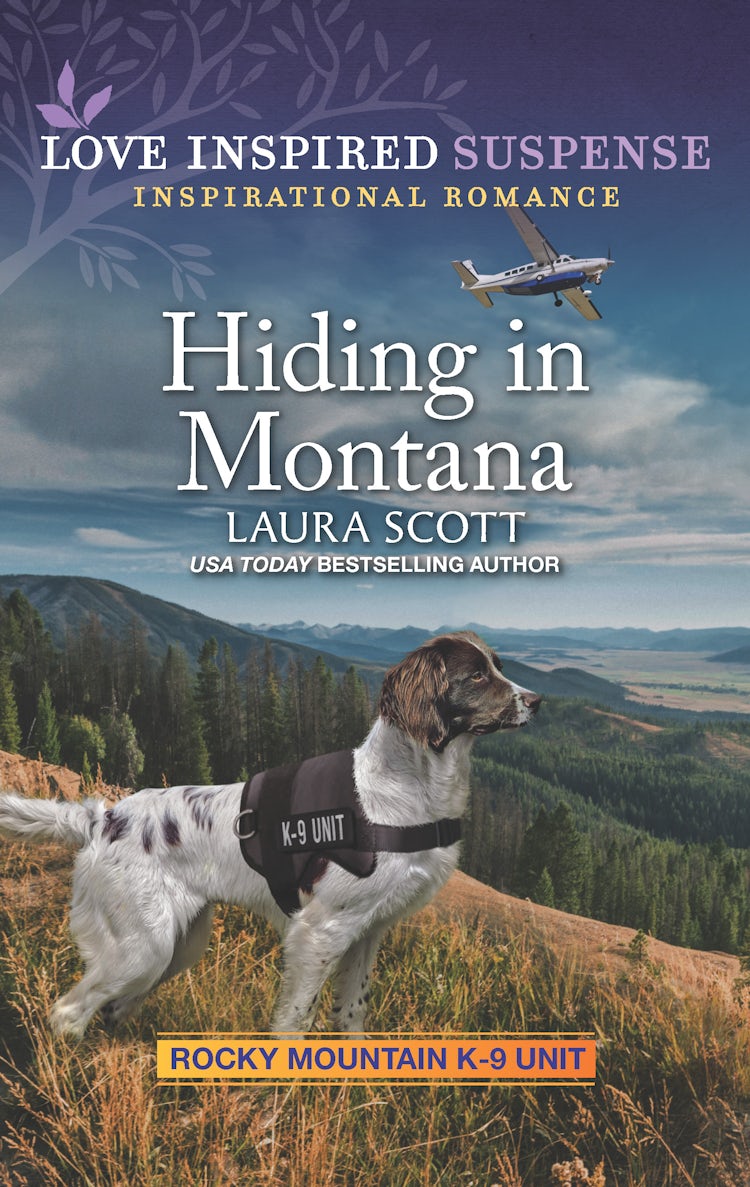 Cover image for Hiding in Montana, isbn: 9781867256731