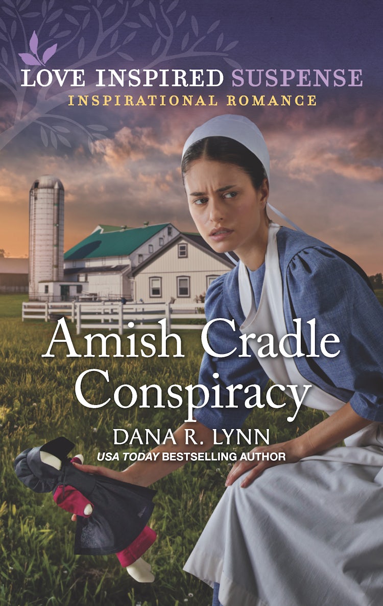 Cover image for Amish Cradle Conspiracy, isbn: 9781867256755