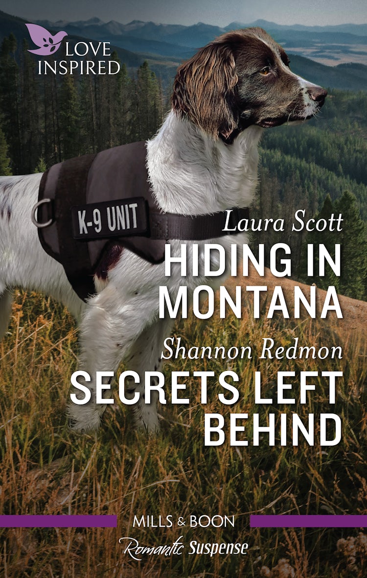 Cover image for Hiding in Montana/Secrets Left Behind, isbn: 9781867257790
