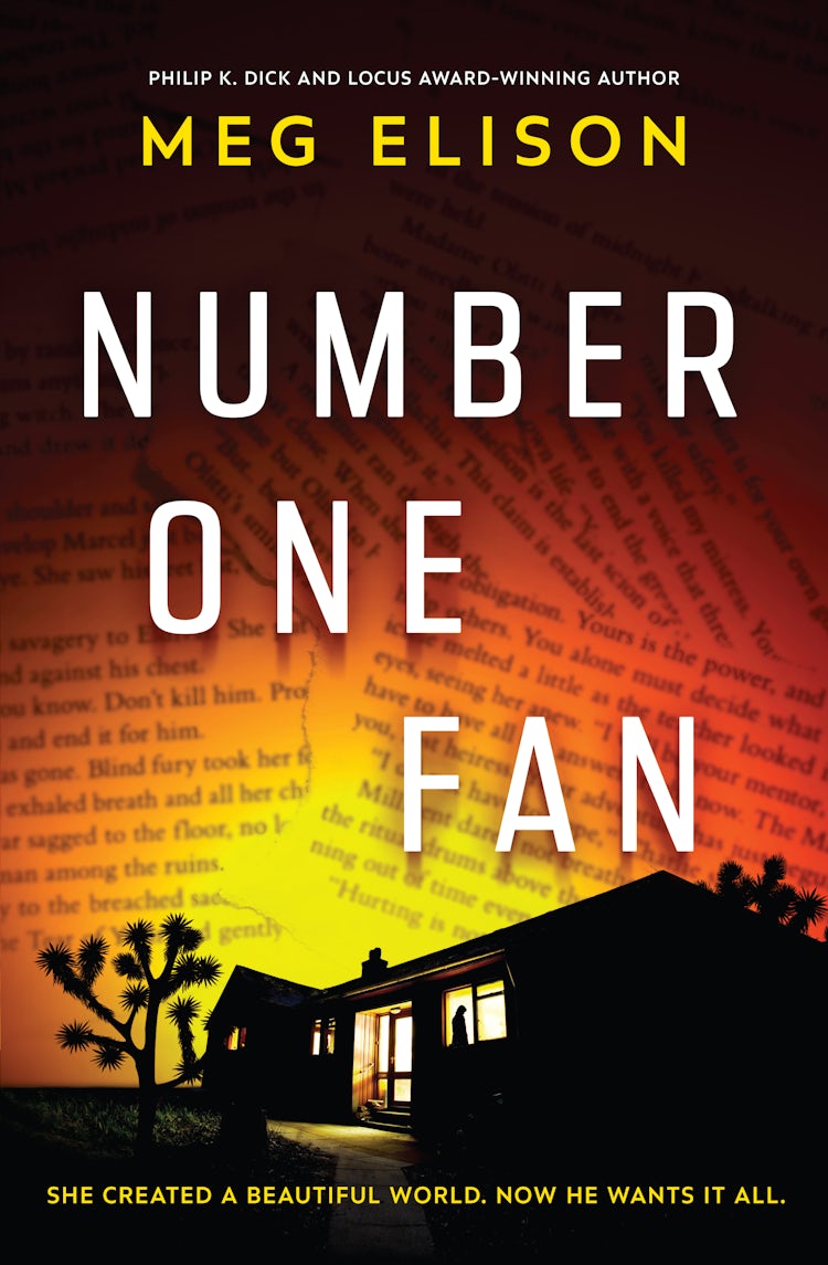 Cover image for Number One Fan, isbn: 9781867258384