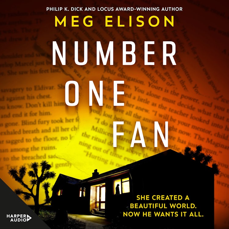 Cover image for Number One Fan, isbn: 9781867258407