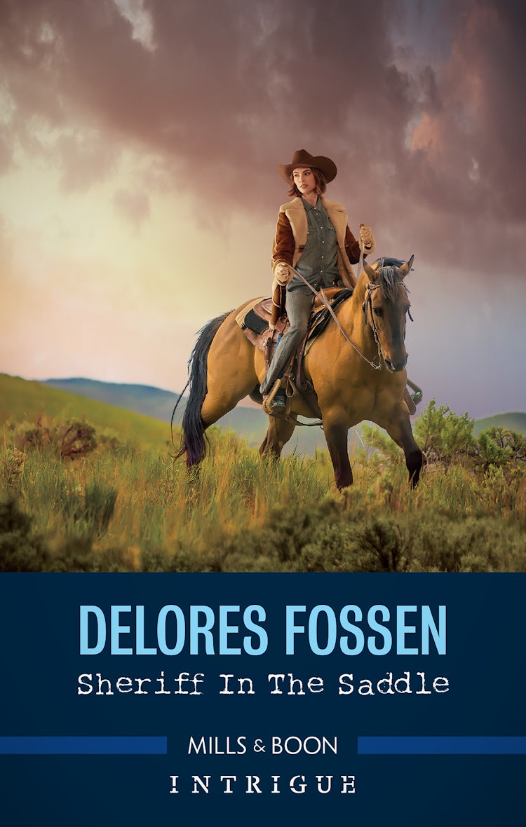 Cover image for Sheriff in the Saddle, isbn: 9781867260820