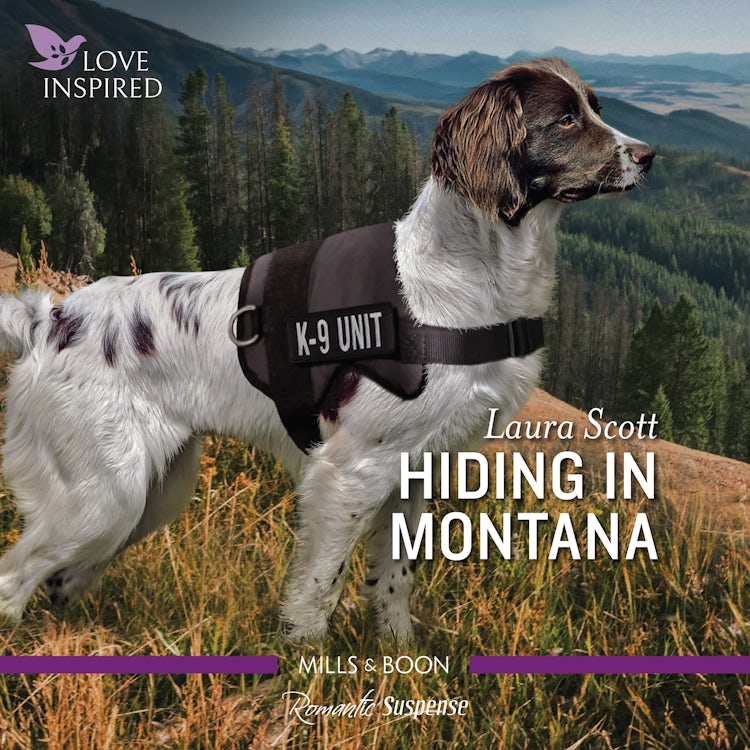 Cover image for Hiding in Montana, isbn: 9781867261377